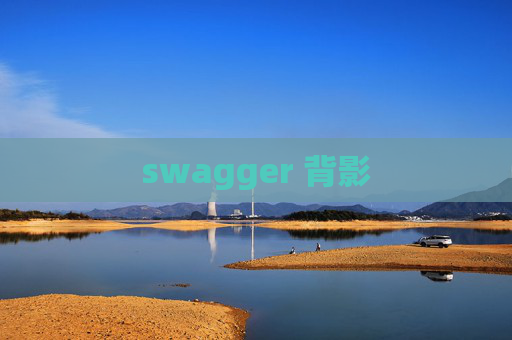 swagger 背影